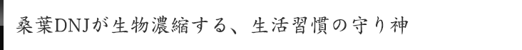 桑葉DNJが生物濃縮する、生活習慣の守り神